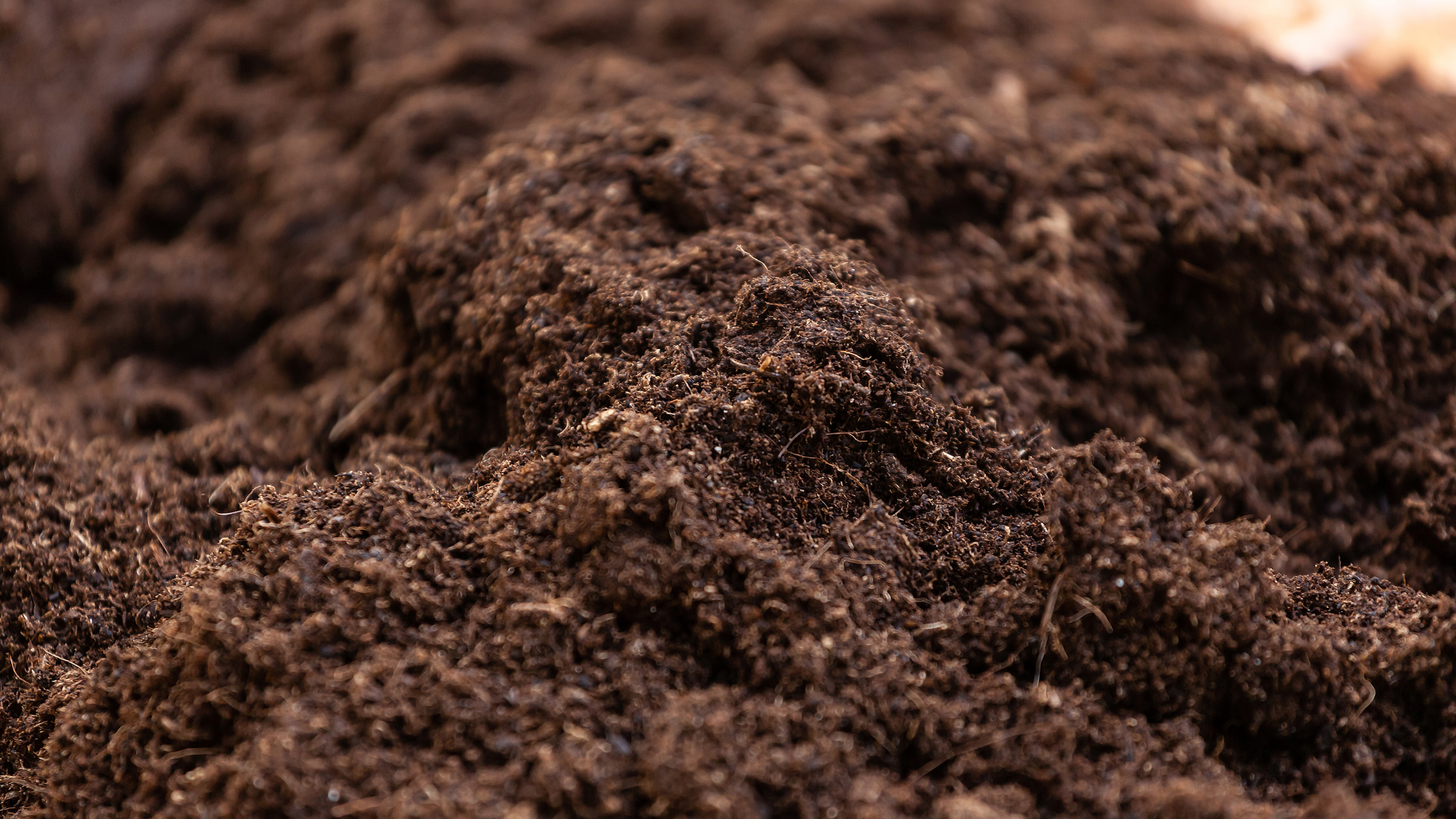 Pflanzenlaugen und Pflanzenjauchen: Herstellung, Anwendung und Nutzen für den Garten