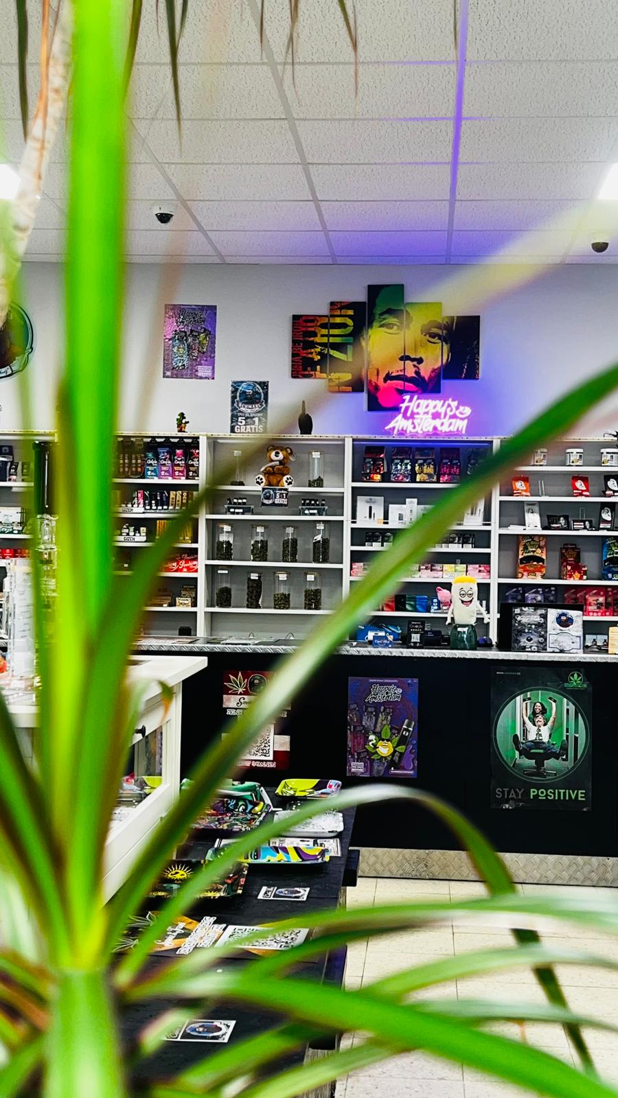 Head- & Growshop in Rostock-Schmarl