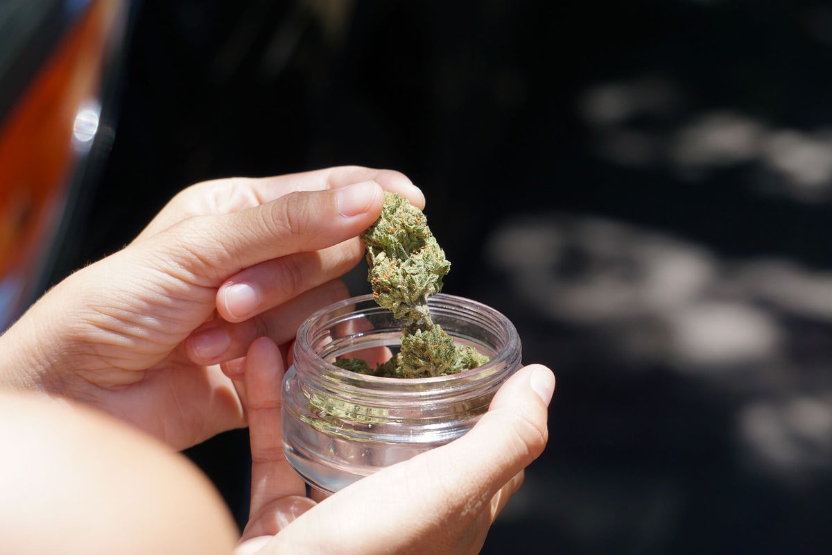 Der Künstlich Erzeugte Hype um Cannabis-Strains - Marketing vs. Qualität