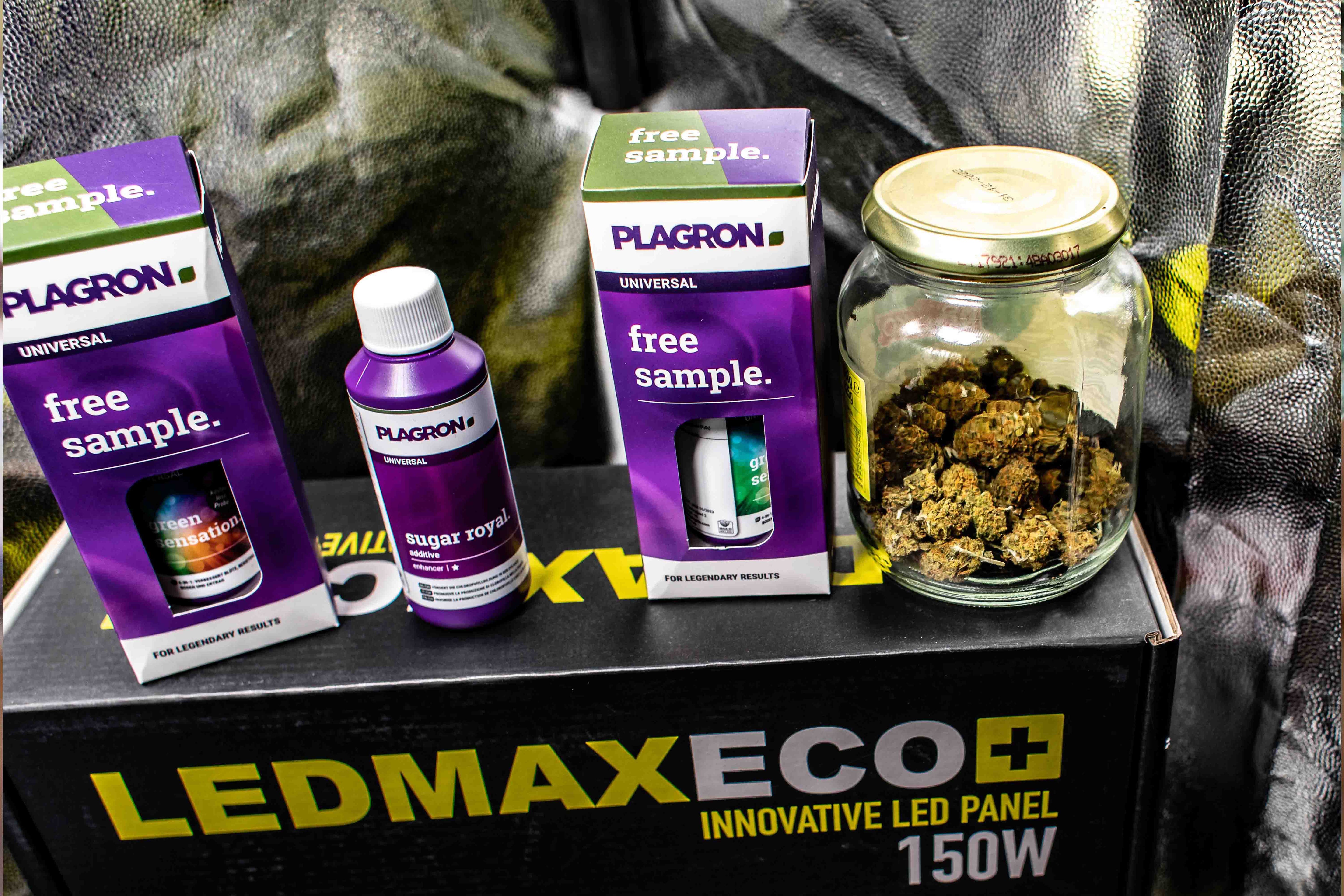 Captain Weedys Grow Workshop 30.05.- 01.06.2025