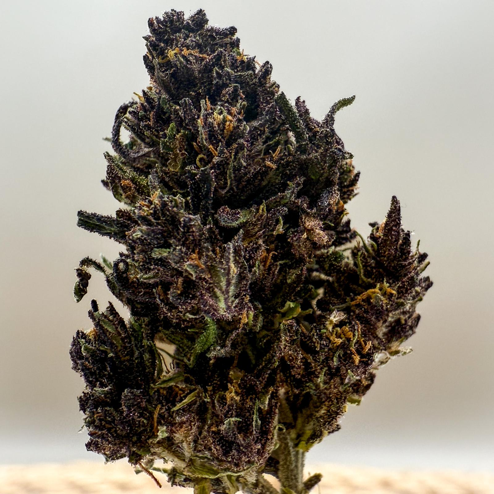 BIO CBD Blüten Cannonball