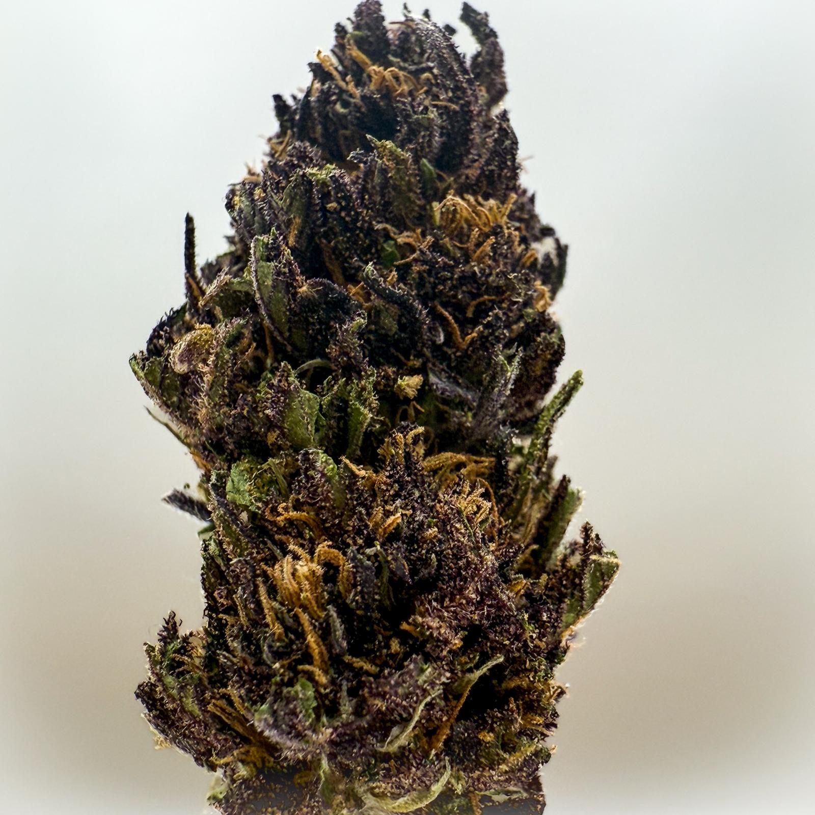 BIO CBD Blüten Mandarina del Mar