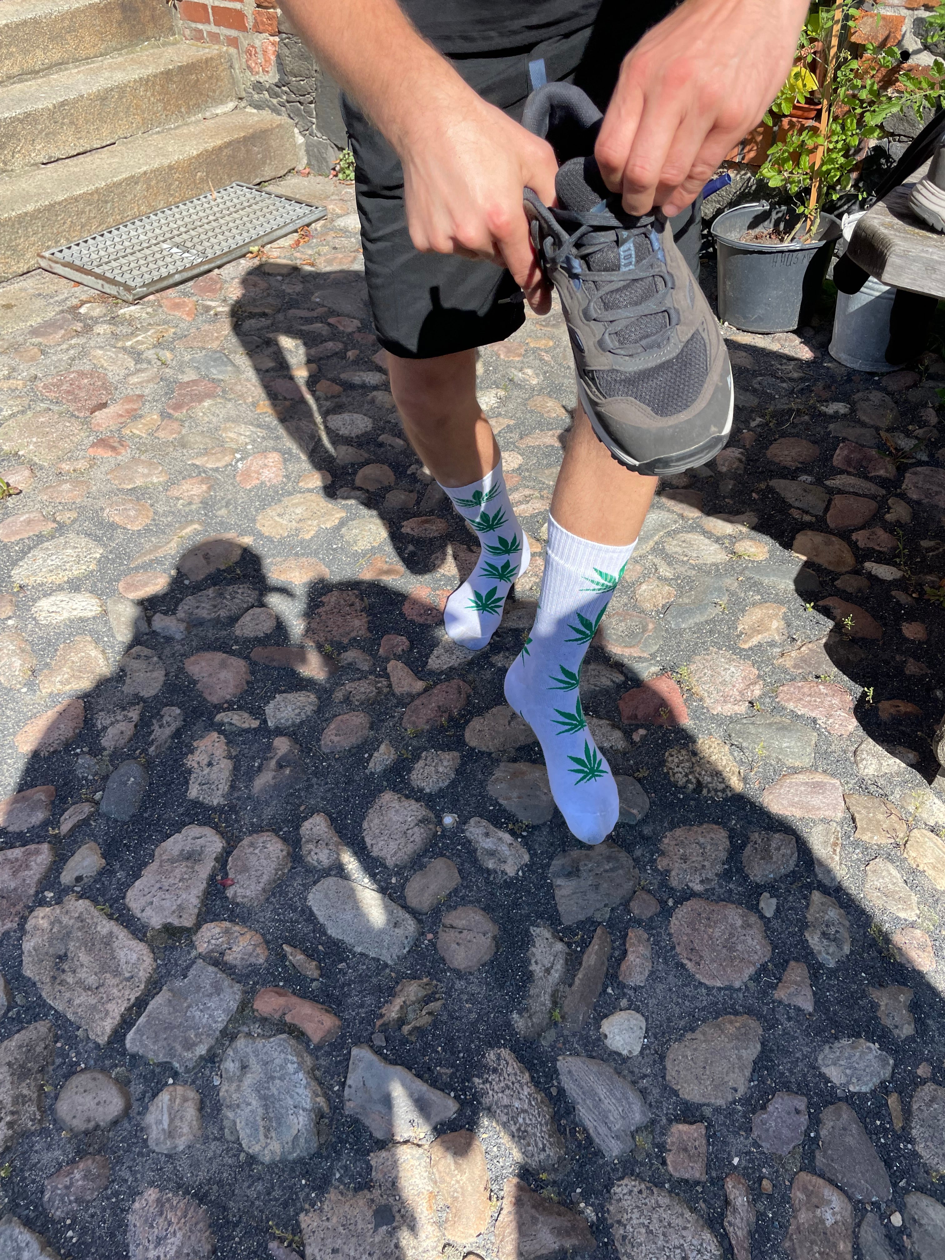 Jakobsweg