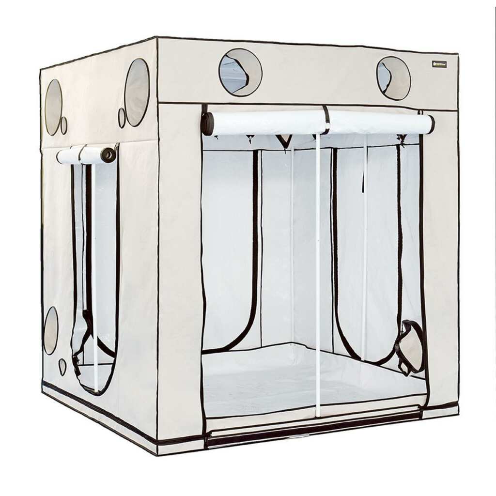 HOMEbox Ambient Q200+ - Growbox 200x200x220cm