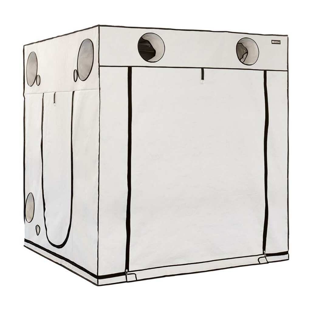 HOMEbox Ambient Q200+ - Growbox 200x200x220cm