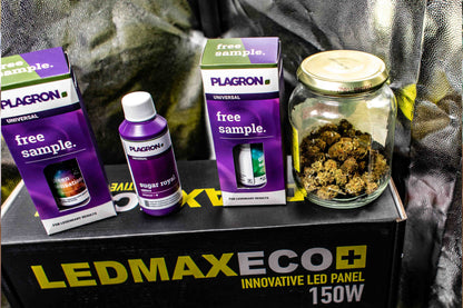 Captain Weedys Grow Workshop 01.08.-03.08.2025