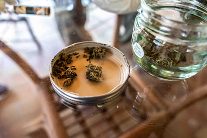 Captain Weedys Grow Workshop 04.07.- 05.07.2025