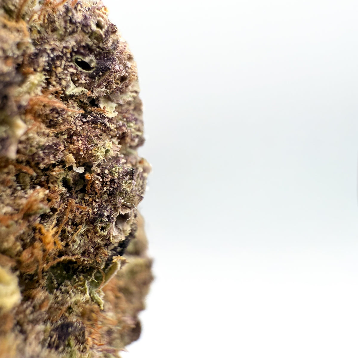 Black Widow CBG Blüten | Leicht Indica-dominiert – Captain Weedy