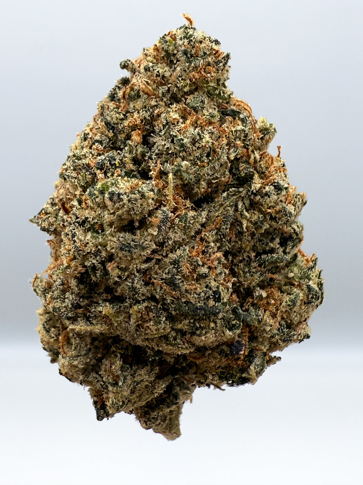Gary Payton CBD Blüten | Hybrid CBD Hanfblüten – Captain Weedy