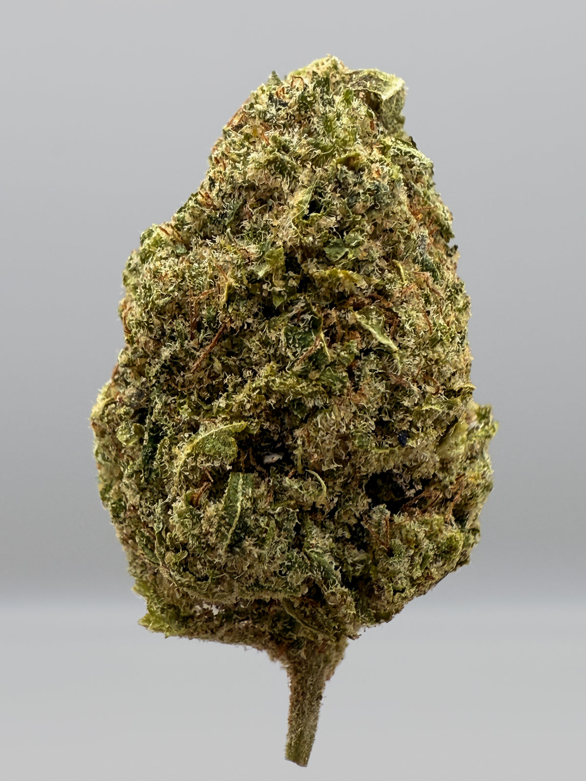 Wedding Crasher CBD Blüten | Indica-dominierte Genetik – Captain Weedy