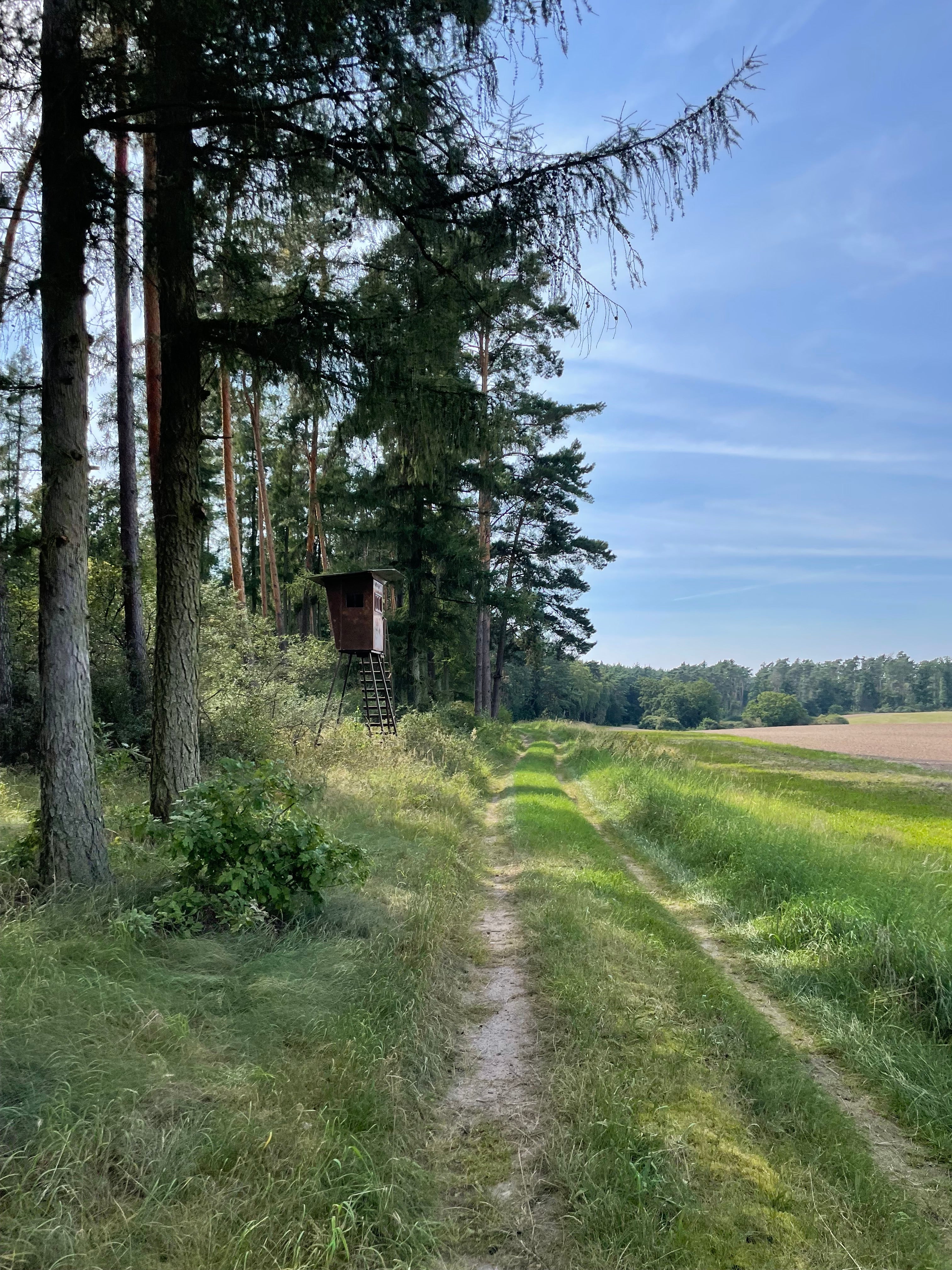 Jakobsweg