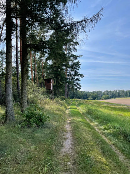Jakobsweg