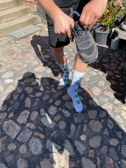Jakobsweg