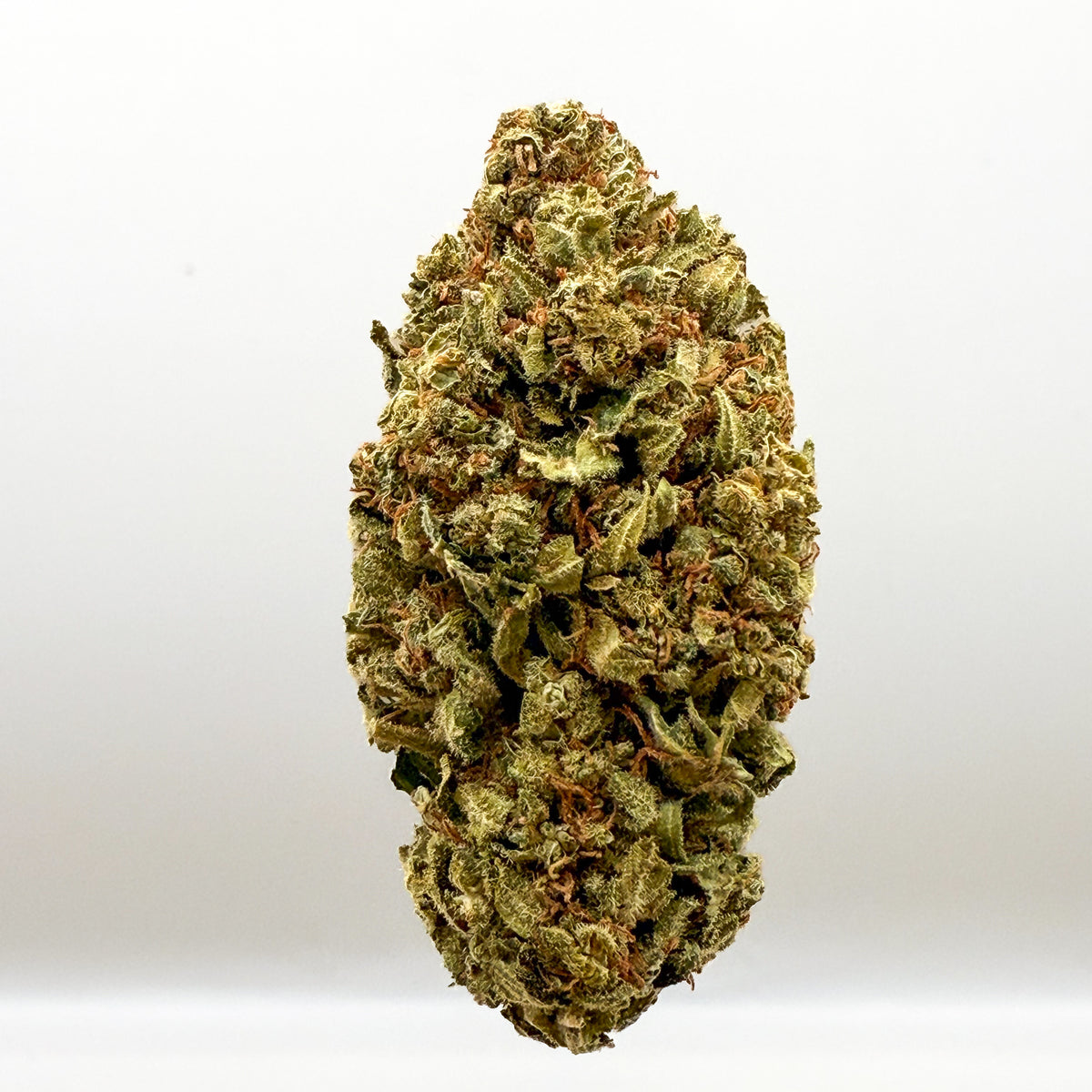 LA Amnesia CBD Blüten | Sativa-dominierte CBD Blüte – Captain Weedy