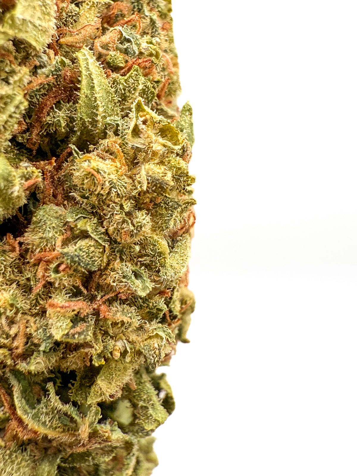 LA Amnesia CBD Blüten | Sativa-dominierte CBD Blüte – Captain Weedy