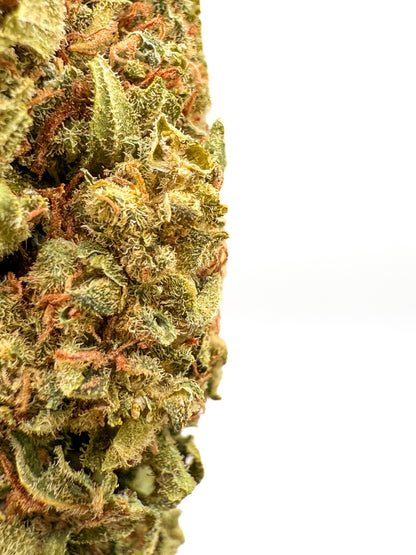 LA Amnesia CBD Blüten | Sativa-dominierte CBD Blüte – Captain Weedy
