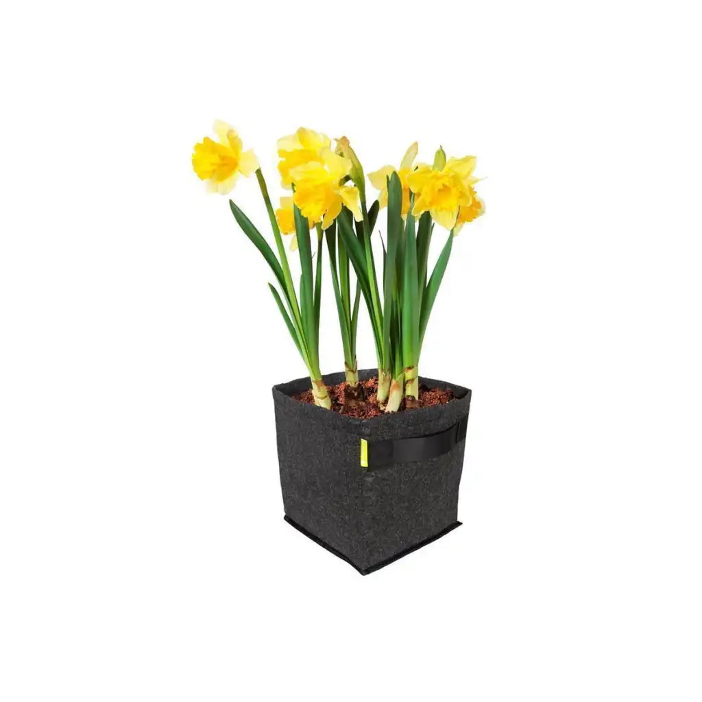 PROPOT 30L | mit Griffen | Pflanzsack | Garden Highpro